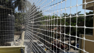 Bird Net Installation in Dubai