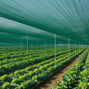 Shade Net for UAE