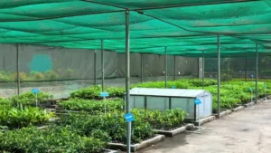 Shade Net Installation in Dubai
