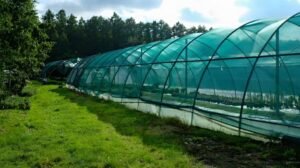   industrial Shade Net Solutions in Dubai