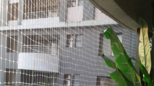 Bird Netting installation Dubai